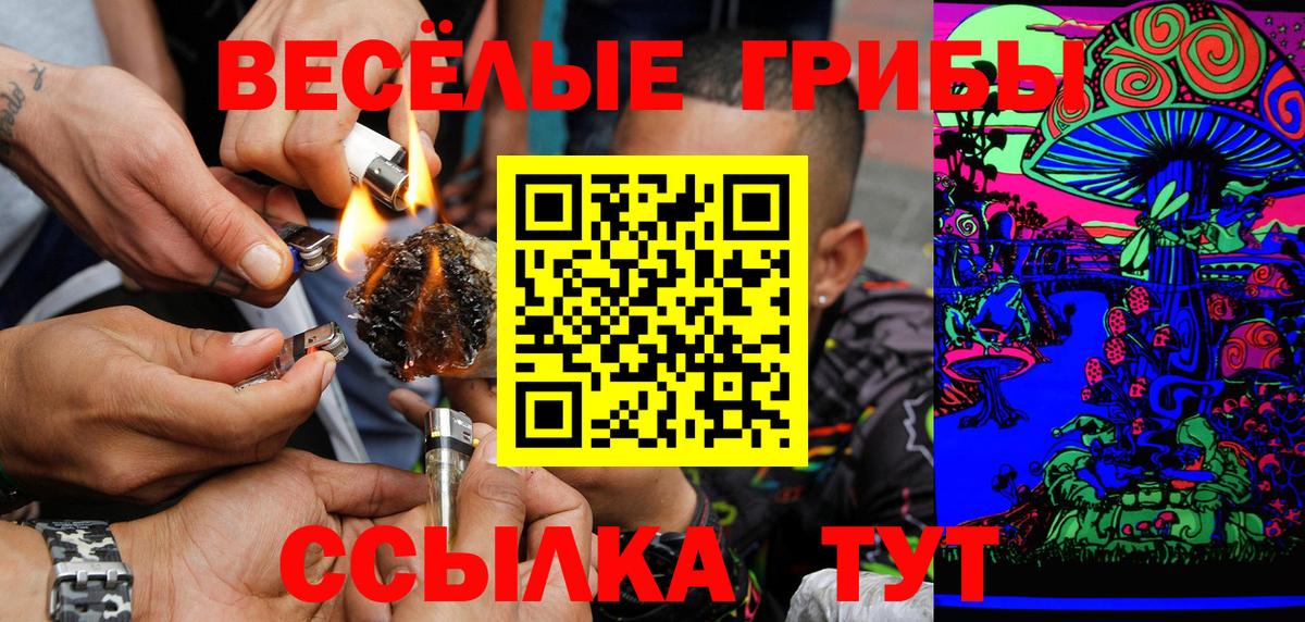 Галлюциногенные грибы мицелий  Галлюциногенные грибы прущие грибы  Вход с VPN  Кимовск 